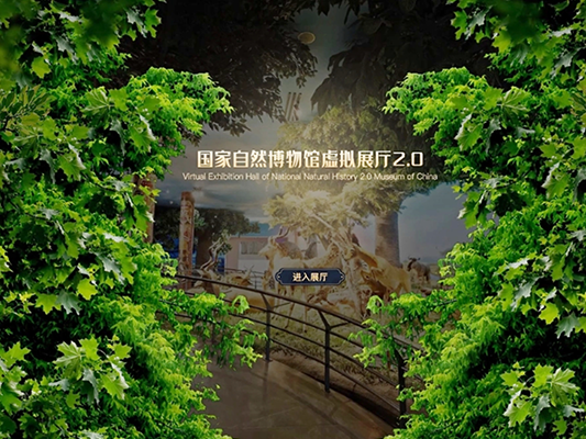 云展厅